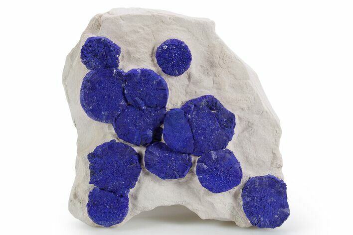 Vibrant Blue Azurite Suns on Siltstone - Australia #361231